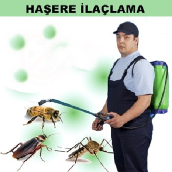 Kadıköy Böcek İlaçlama